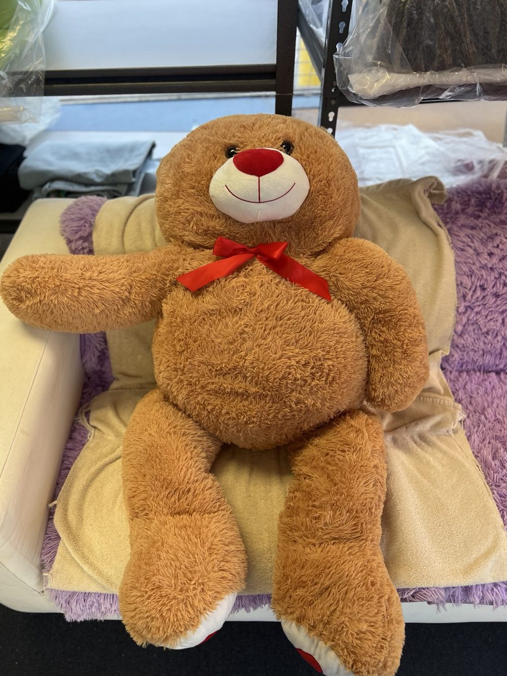 Teddy bear cleaned at Royal Oak Drycleaners in Burnaby